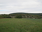 IMG_4384