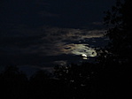 IMG_4405