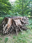 IMG_20180923_092726