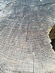 IMG_20180923_092742