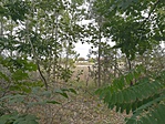 IMG_20180923_130102