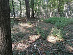 IMG_20180915_161503