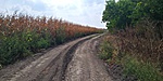 20180902_142446_HDR