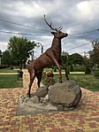 IMG_0351