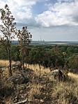 IMG_0373