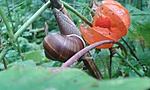 20180905_100542