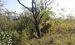 20180918_121602