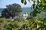 DSC_0569