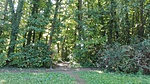 IMG_20180928_112411