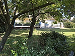 IMG_0906