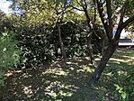 IMG_0907