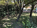 IMG_0908