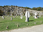 DSCN1594