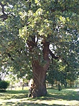 IMG_20180919_143042