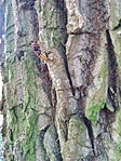 IMG_20180919_122734