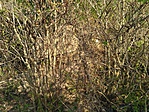 IMG_20180902_142729