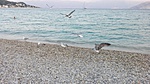 Baska