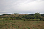 IMG_1108