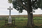 IMG_1144