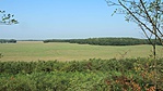 IMG_1775