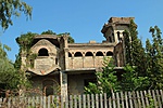 IMG_1803
