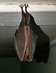 IMG_20180923_143628-01