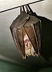 IMG_20180923_143801-02