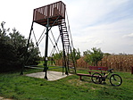 DSC01424