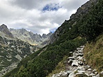 IMG_5604