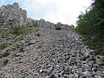 IMG_1857_resize