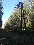 IMG_20181014_110345
