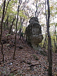 DSCN6936