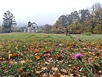 IMG_20181027_160339