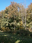 PA140023