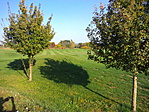 Golfpálya