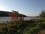 IMG_20181014_162940