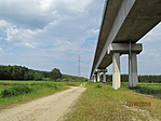 IMG_7591