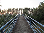 IMG_8655
