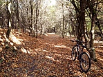 20181014_094706-1000x750