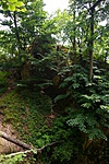 P1100757R