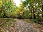 2018-10-21 15.24.57R