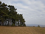 2018-10-22 14.59.53R