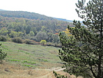 IMG_0533