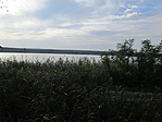 IMG_0557