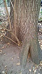 20181023_165242a