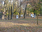 DSC08121
