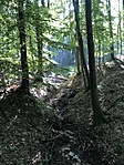 IMG_3206