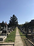 IMG_3311