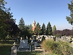IMG_3314