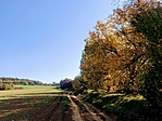 IMG_3317